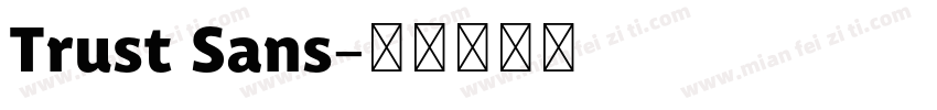 Trust Sans字体转换